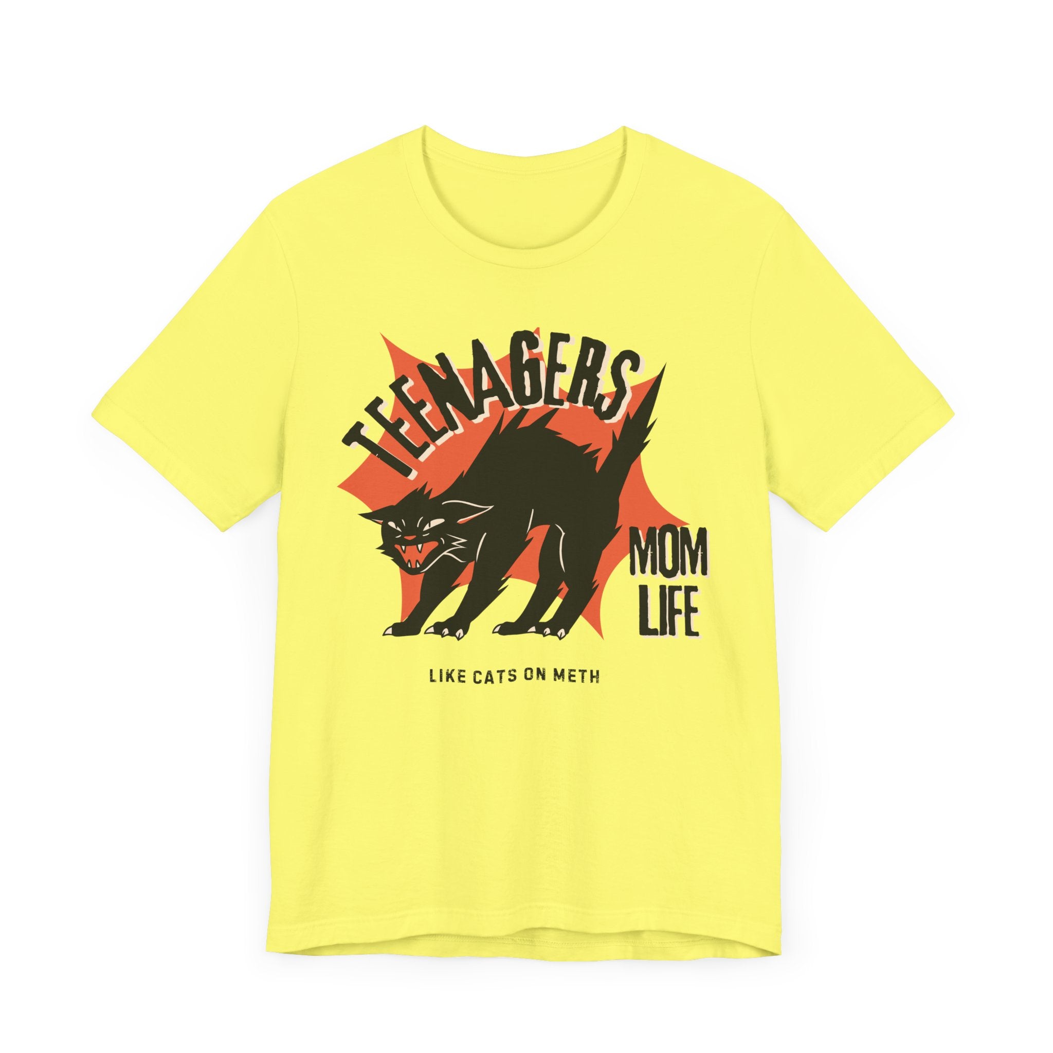 Teenagers Like Cats On Meth Premium T-Shirt