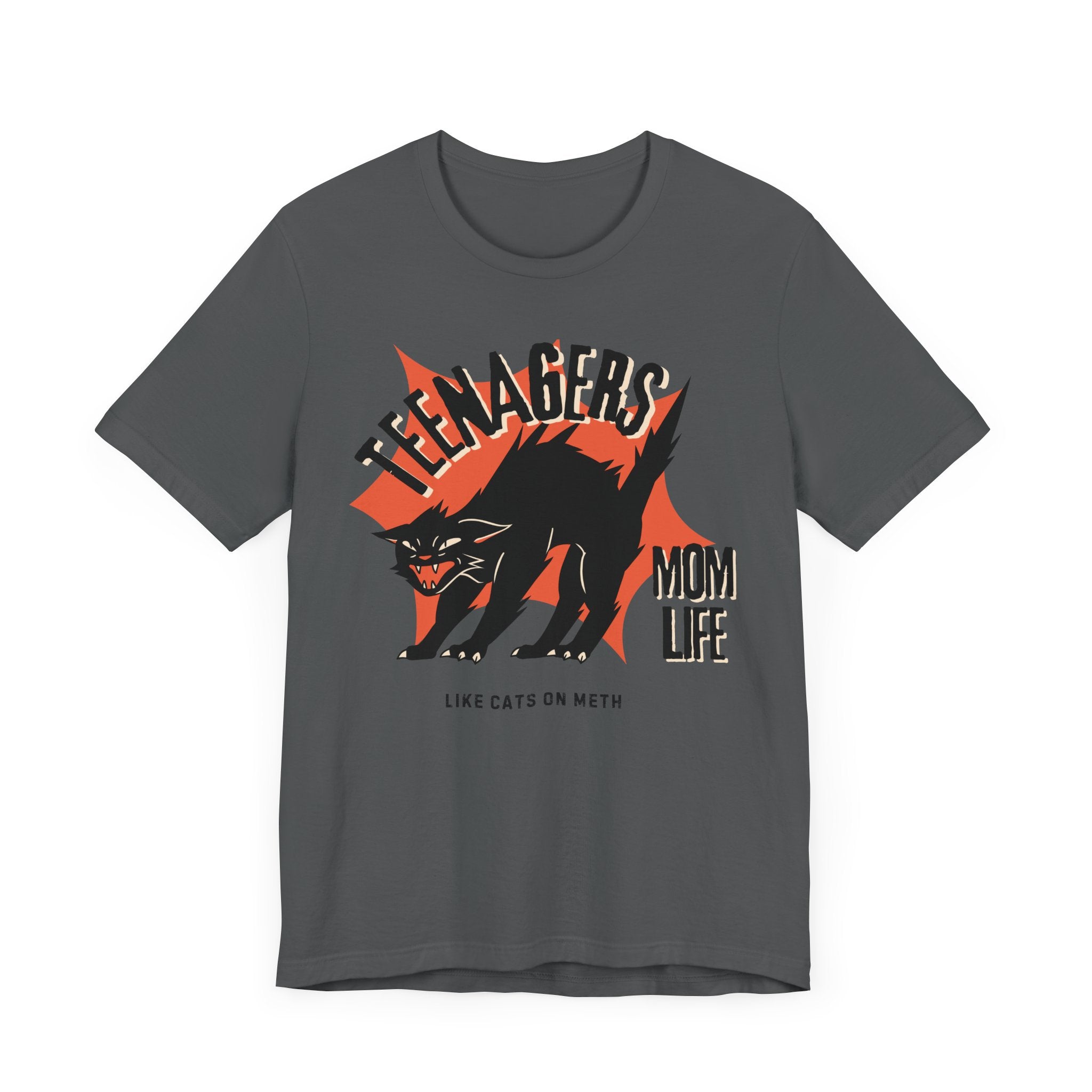 Teenagers Like Cats On Meth Premium T-Shirt
