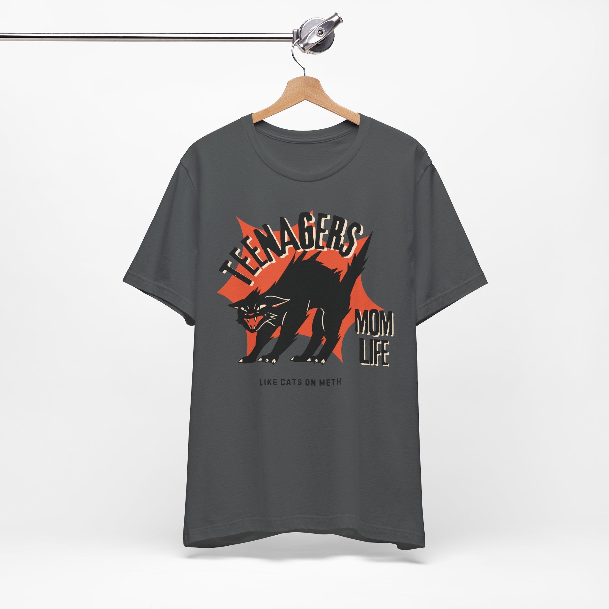 Teenagers Like Cats On Meth Premium T-Shirt